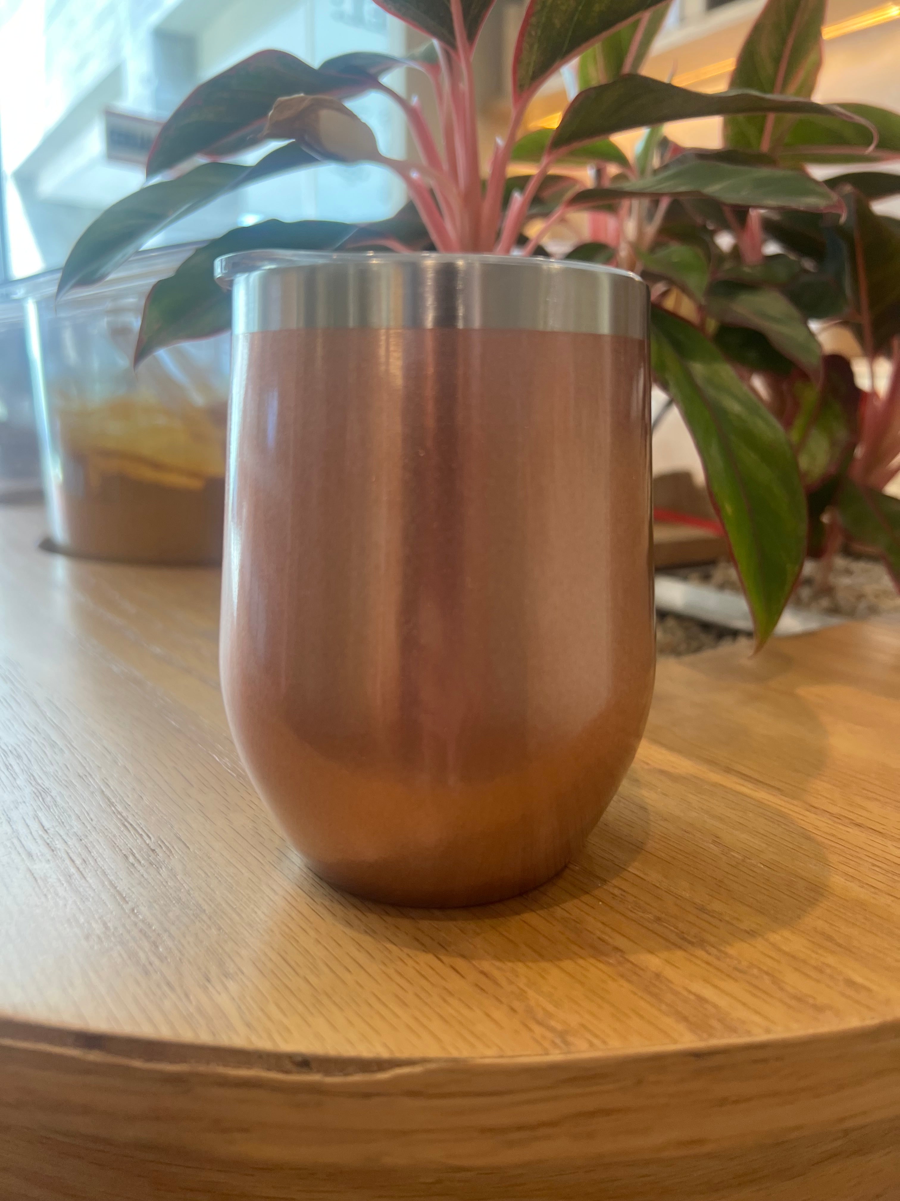 Vasos vino térmicos